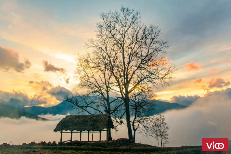 Chỉ 7xxtr sở hữu ngay lô đất trung tâm Y Tý đón sóng quy hoạch