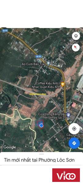 Chính chủ cần bán gần 5 sào sầu riêng, cà phê Tại Tổ 22 Phường Lộc Sơn, Tp Bảo Lộc, Lâm Đồng.