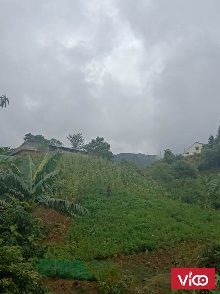 Cần bán mảnh view đẹp, tăng giá tốt thôn đón đầu du lịch Y Tý Sapa2