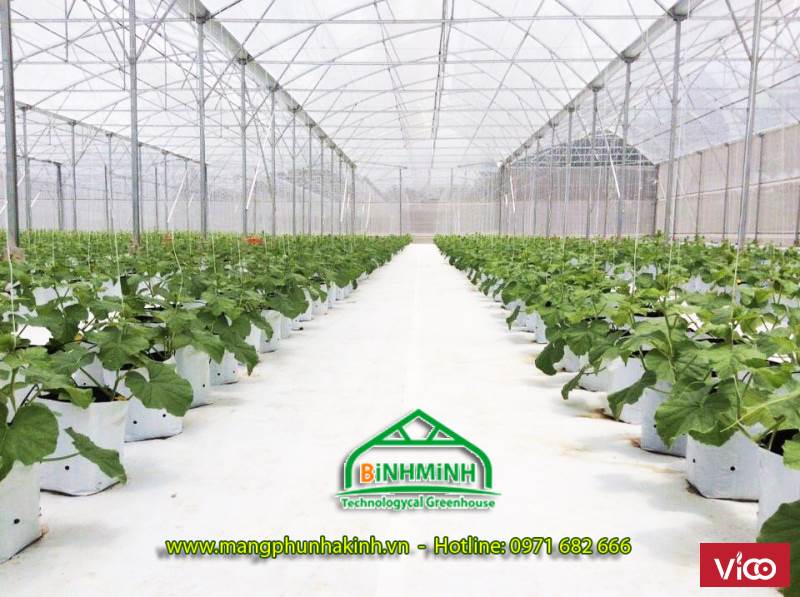 Bạt trải nền nhà kính, bạt trải nền nhà lưới, bạt địa nông nghiệp, bạt địa kỹ thuật