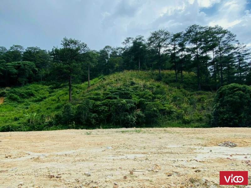 Cần bán lô đất biệt thự nghĩ dưỡng tại định an đức trọng