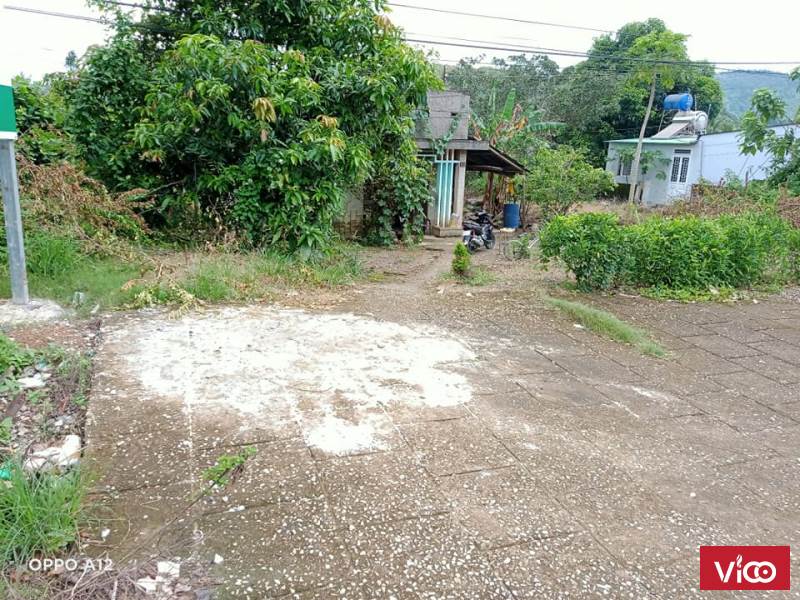Bán gấp lô đất mặt tiền Đường Quốc Lộ 20, Thị trấn Ma Đa Guôi, Đạ Huoai, Lâm Đồng
