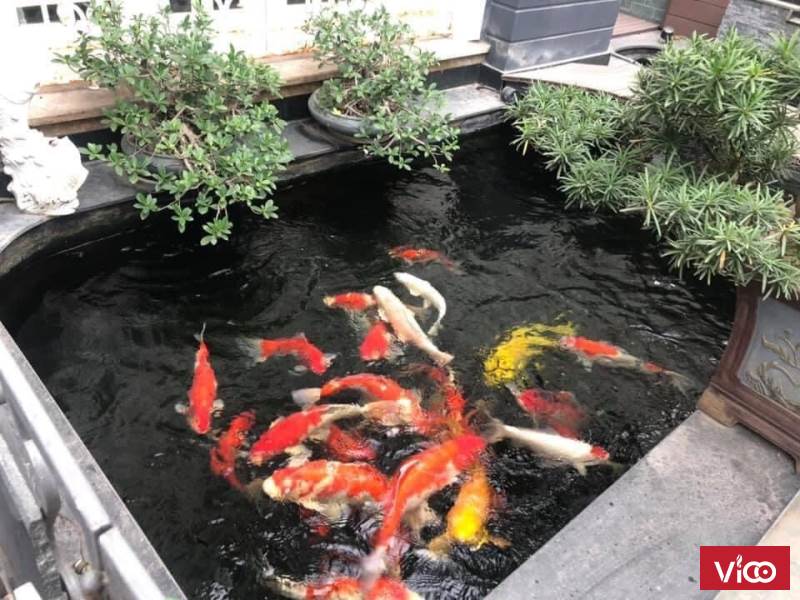 Biệt Thự Đẳng Cấp KĐT Việt Hưng, 4 Tầng Thang Máy, 250m2, Mặt Tiền 15m, Nhỉnh 30 Tỷ.