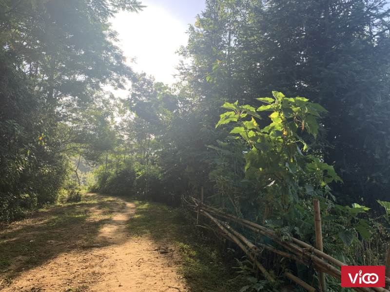 Mảnh đất tại thôn Sín Chải,Y Tý nơi đón tuyết, săn mây tuyệt đẹp Giá phù hợp để đầu tư