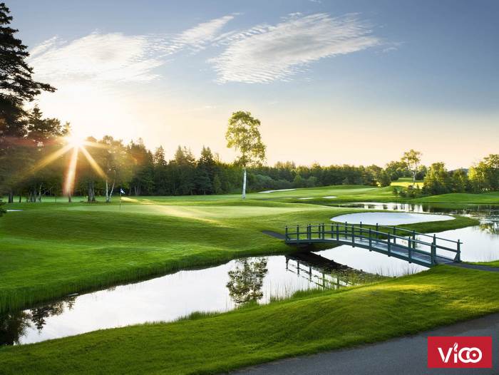 Siêu phẩm không thể bỏ qua nếu đầu tư Y tý