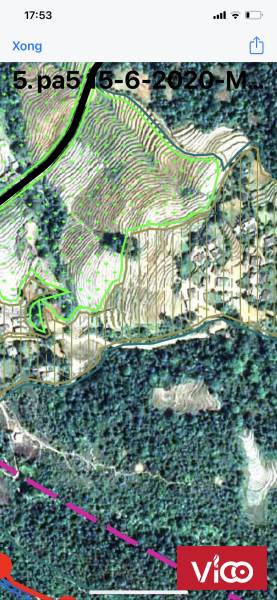 Cần bán gấp mảnh view ruộng bậc thang siêu đẹp Lao Chải Y Tý giá ưu đãi