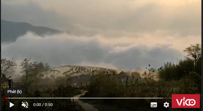 Hơn 2.000m2 Đất Phan Cán Sử Y Tý Giá Phù Hợp Đầu Tư