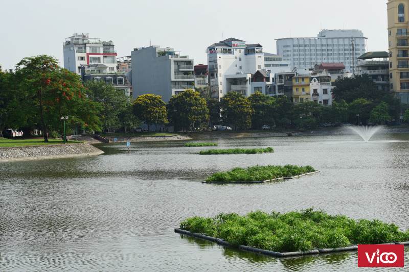 Bán nhà phân lô, ô tô để trong nhà Hồ Ba Mẫu, 50 m2, 6 tầng, 10.2 tỷ.