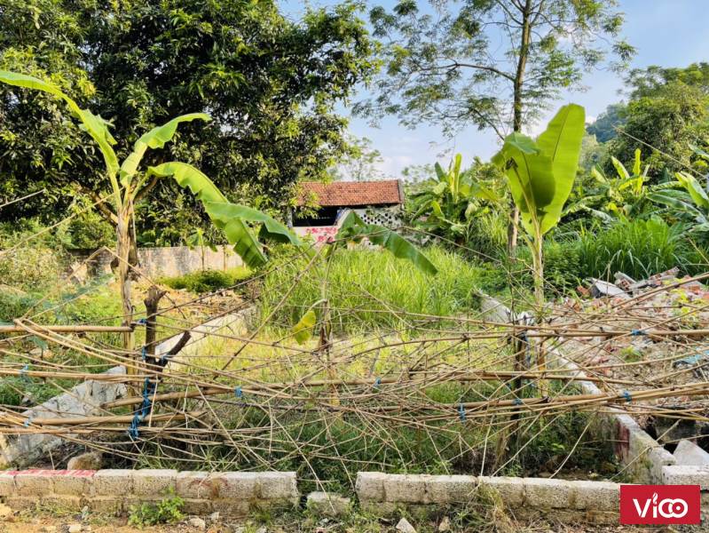 Đầu tháng Em cần ra đi nhanh 2 lô chính chủ gần trục chính đường Tôn Đức Thắng