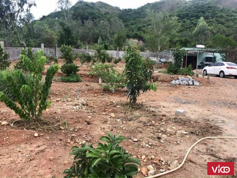 Chính chủ bán đất Vĩnh Lương , TP Nha Trang, Tỉnh Khánh Hòa