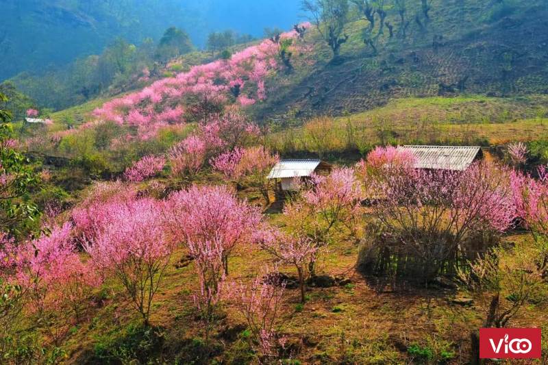 LÔ ĐẤT 3.300M3 TẠI Y TÝ CHỈ 2XXXTR SỞ HỮU NGAY THÍCH HỢP ĐẦU TƯ ĐÓN SÓNG QUY HOẠCH