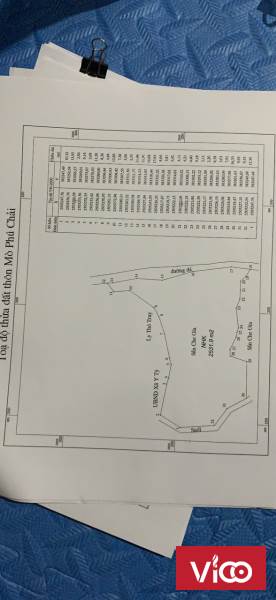 Đất thôn Mò Phú Chải View rừng già cực thích hợp làm Homestay