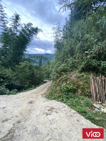 Dành cho quý khách thích kinh doanh homestay mảnh đất 655m2 Y Tý SaPa 2 ,mặt tiền rộng thanh khoản