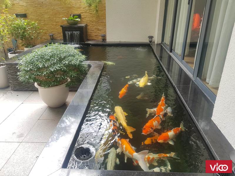 Nhà vườn sang trọng, đẳng cấp thiết kế dành cho Quan chức và Doanh Nhân.