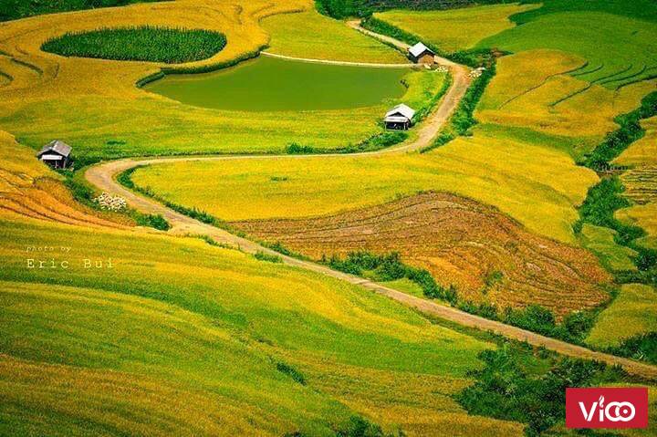 675m2 đất trung tâm Y Tý(Sapa2) cho các nhà đầu tư