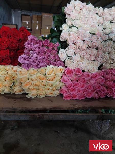 kho lạnh bảo quản hoa tươi