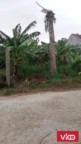 Bán Đất Tân Tứ, Ninh Thượng, Thị Xã Ninh Hòa, Khánh Hòa.