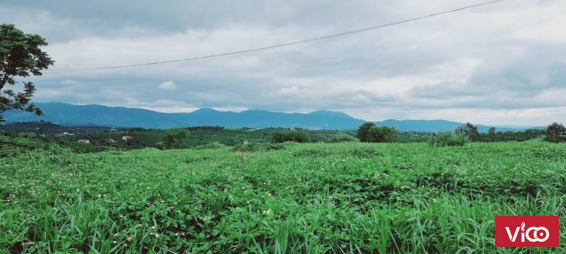 cần bán lô đất xã nam ban, huyện lâm hà , tỉnh lâm đồng