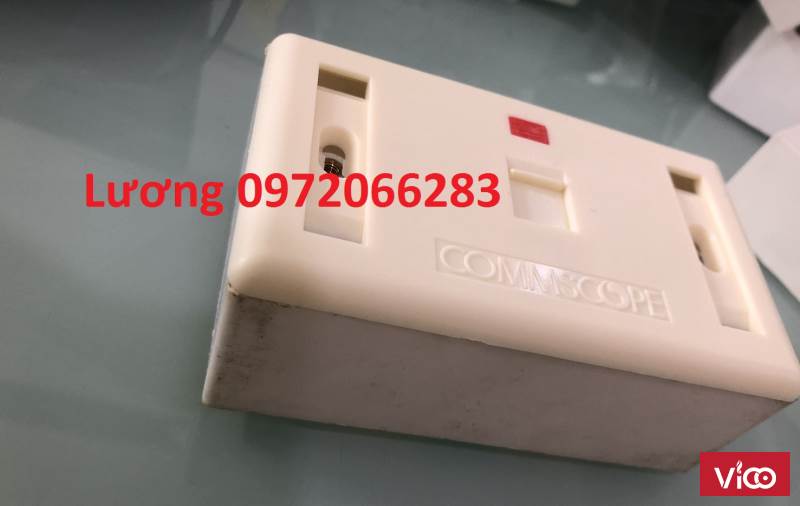 Bộ wallplate 1 port nhânđếmặt outlet đơn