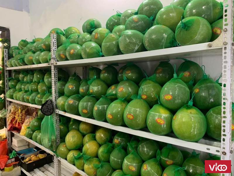 lắp đặt kho lạnh bảo quản bưởi sau thu hoạch