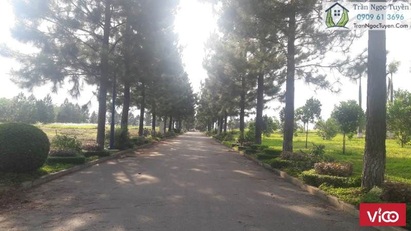 Cần bán gấp lô BT The Phoenix Garden 200m2, 230m2 mức giá tốt nhất thị trường.