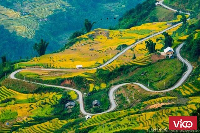 Bán nhanh lô đất Mò Phú Chải Y Tý diện tích khoảng 2000m2