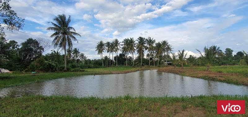 Bán đất gần chợ view đẹp tại Thôn 9, Xã Ea Bar, Huyện Buôn Đôn, Đắk Lắk