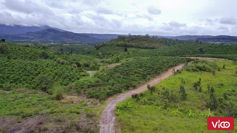 Bán đất view đẹp cao đường ô tô vào tận nơi tại Ninh Gia, huyện Đức Trọng, tỉnh Lâm Đồng.