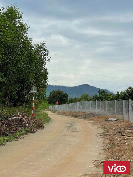 CẦN BÁN VƯỜN BƯỞI Tại Thôn Suối Thơm, xã Khánh Đông, huyện Khánh Vĩnh,tỉnh Khánh Hòa