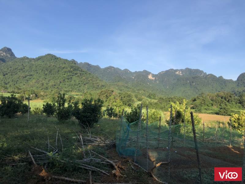 Bán gấp lô đất 4543m2 .trong đó có 400 m thổ cư tại Mỹ Hoà _ Tân Lạc giá rẻ nhất khu vực