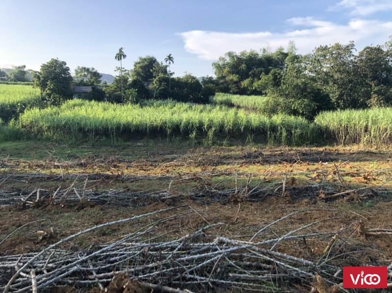 Bán gấp lô đất 4543m2 .trong đó có 400 m thổ cư tại Mỹ Hoà _ Tân Lạc giá rẻ nhất khu vực