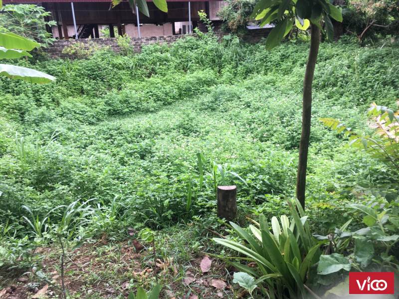 BÁN 500M2 ĐẤT MƯỜNG SANG, MỘC CHÂU. ĐÓN SÓNG QUY HOẠCH PHÁT TRIỂN KHU DU LỊCH QUỐC GIA.