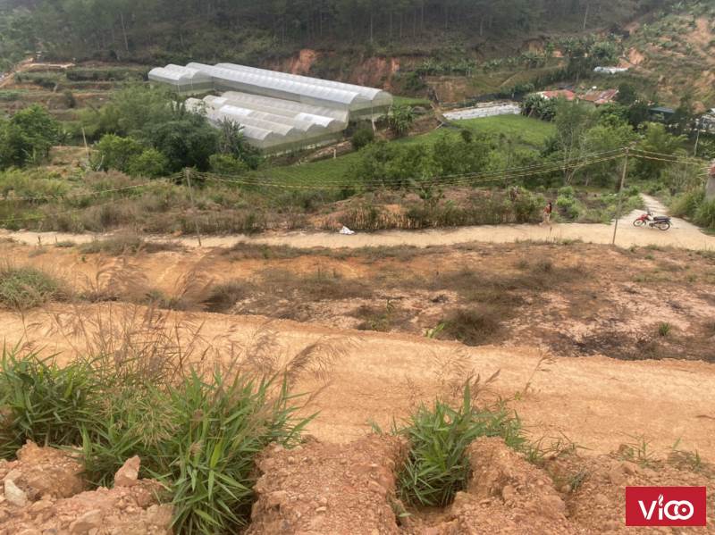 BÁN ĐẤT TRẦN THÁI TÔNG