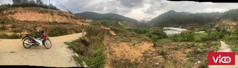 BÁN ĐẤT TRẦN THÁI TÔNG