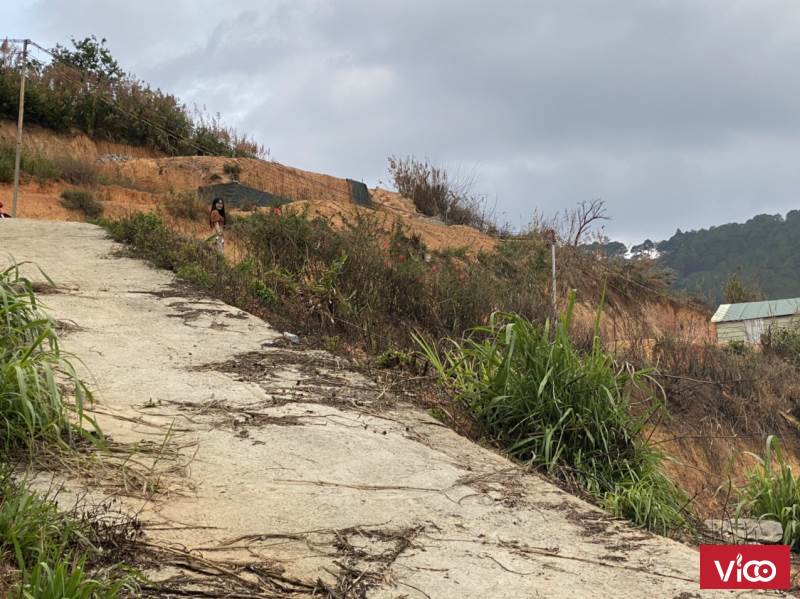 BÁN ĐẤT TRẦN THÁI TÔNG