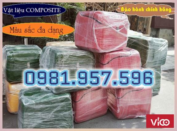 Thùng ship hàng cỡ đại, thùng chở hàng cỡ lớn, thùng sau xe máy