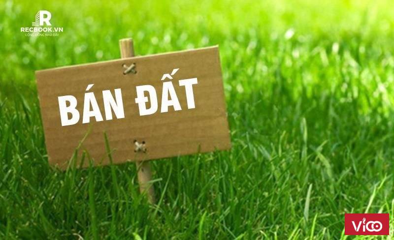 CẦN BÁN 2 MẢNH ĐẤT RUỘNG TẠI CAO NGẠN TP THÁI NGUYÊN, TN