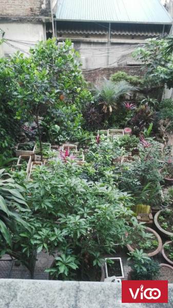 CHO THUÊ NHÀ CHÍNH CHỦ NGUYÊN CĂN TẠI ĐƯỜNG LẠC LONG QUÂN/ QUẬN TÂY HỒ