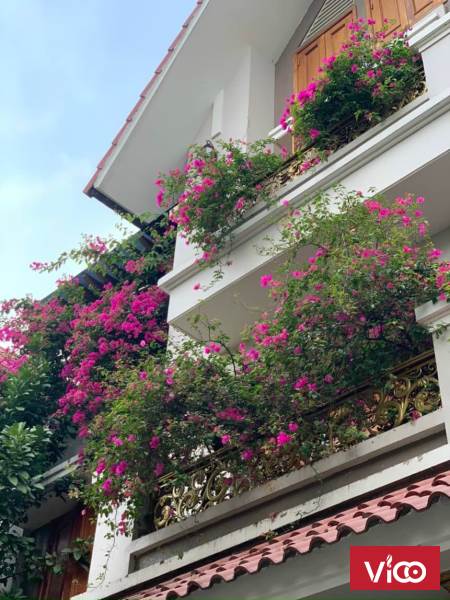 Biệt Thự, Đẹp Nhất Hà Đông, 240 mét,4 tầng mái thái, mặt tiền 12 mét, giá 36 tỷ.