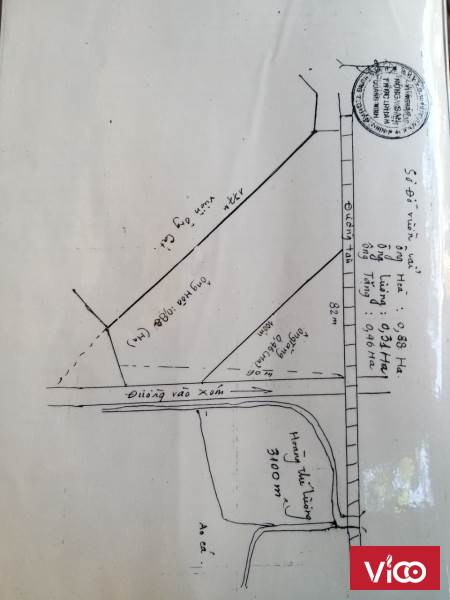 Chính chủ cần chuyển nhượng mảnh đất vườn có diện tích 8800m2