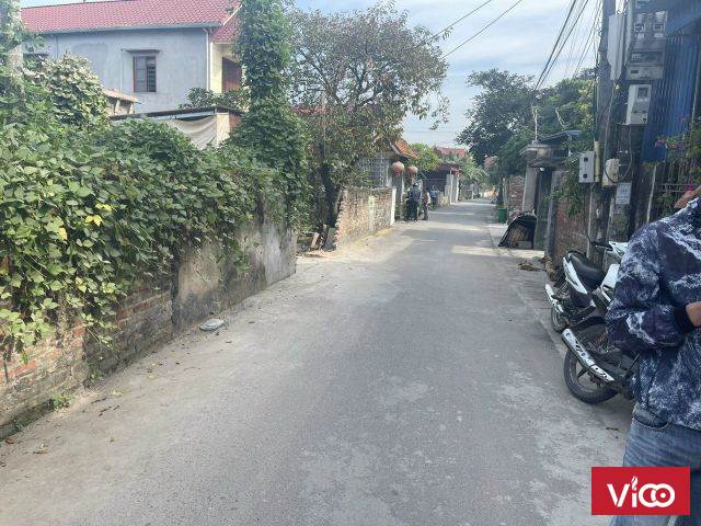 Ai muốn nhập khẩu thị trấn ko àk DT 83m2 Thị Trấn Hoàng Xá, An Lão, Hải phòng