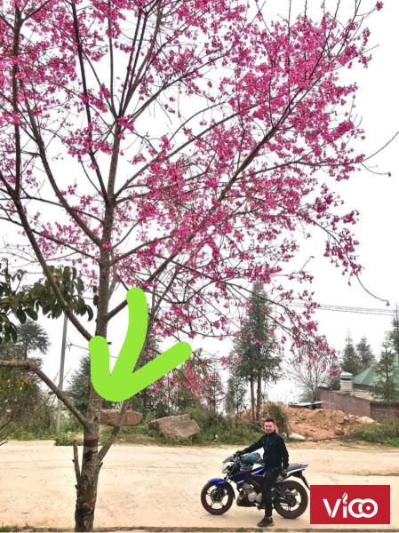 Vị trí đắc địa, giá hợp lý ngay trung tâm Y Tý