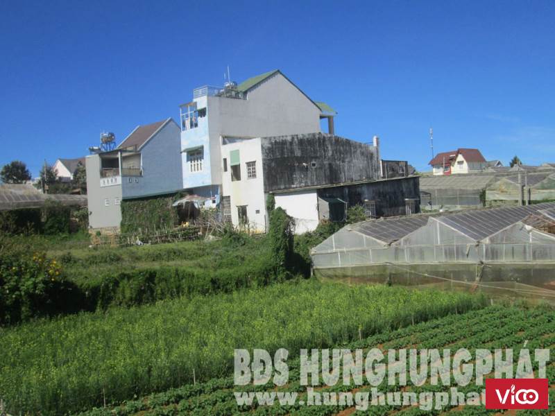 Bán đất NN có sổ riêng Giá Rẻ đường Khe Sanh P.10 TP.Đà Lạt