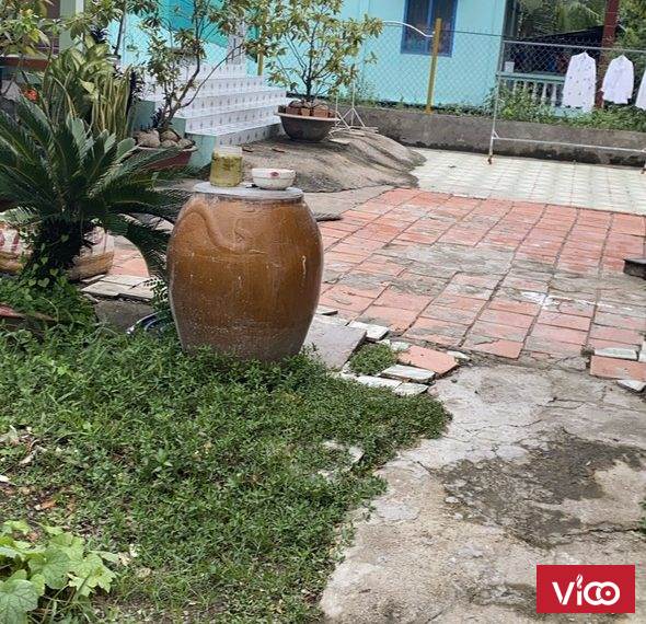 Cần bán đất tại xã Thanh Vĩnh Đông Châu Thành Long An