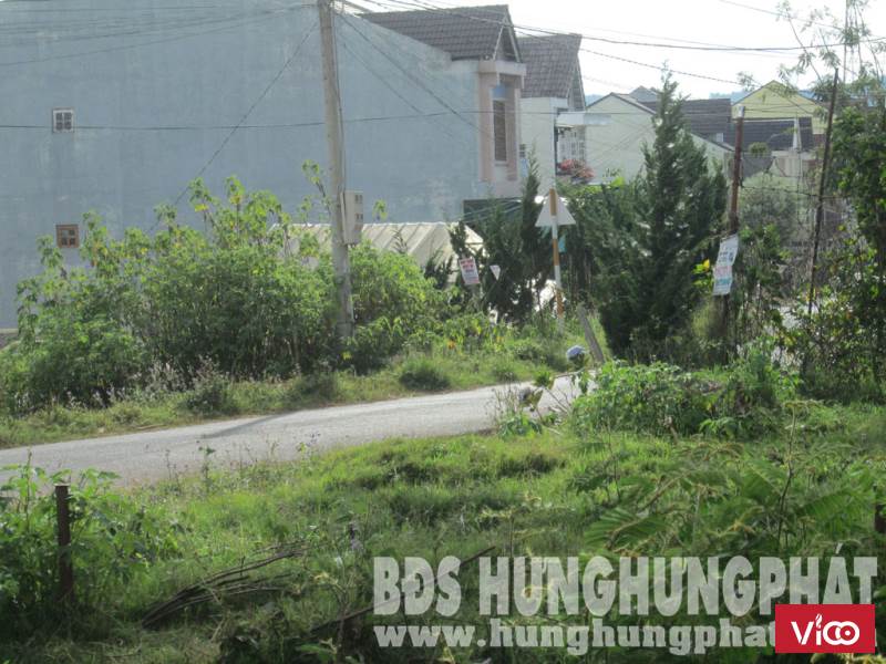 Cần bán gấp đất song lập HXH đồi thông tin P8 , TP Đà lạt