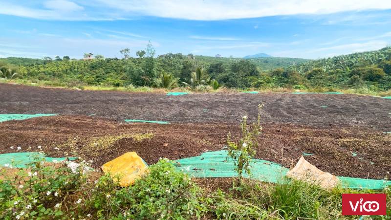 CHỦ GỬI BÁN LÔ ĐẤT NGAY KHU DÂN CƯ, CHỢ, TRƯỜNG HỌC