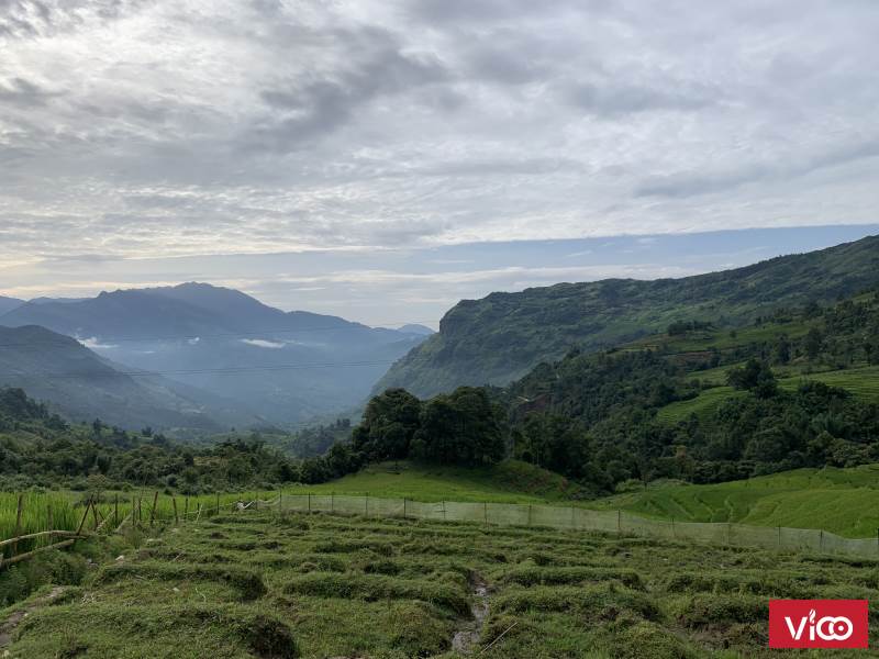 Bán Mảnh đất hơn 1000m2 thôn Lao Chải Y Tý, săn mây đón tuyết siêu đẹp