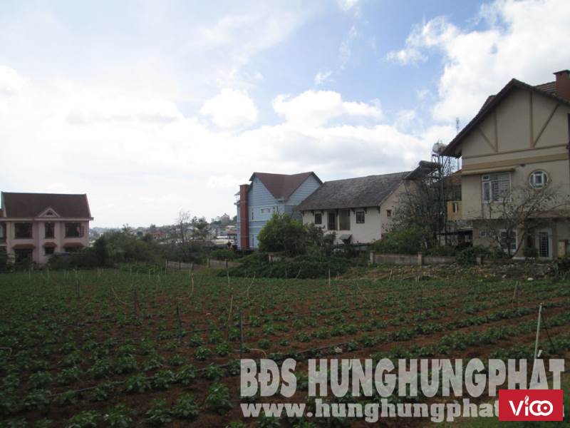 Bán đất biệt thự hxh Mai Anh Đào P8 Tp Đà Lạt
