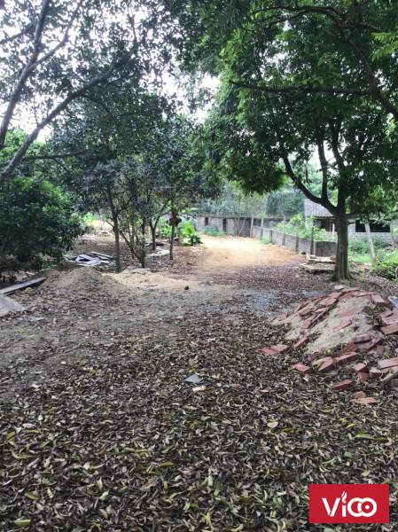 Bán nhanh siêu phẩm 7019m2 tại Lương Sơn đất bằng phẳng,view thoáng,giá chỉ 1,x triệu một mét