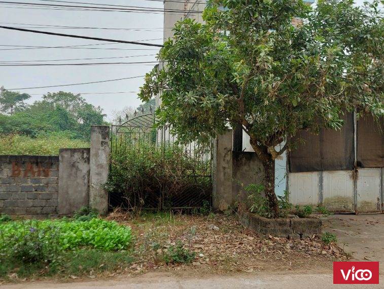 Chính chủ cần Bán đất thổ cư tại Thôn Xuân Long, Thủy Xuân Tiên
